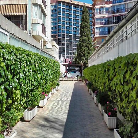 貝尼多姆Marques De La Conquista公寓 外观 照片